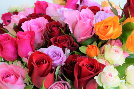 訳あり　生産農家直送！ご家庭用バラ花束35本セット 簡易包装_AL02 ※沖縄・離島への配送不可