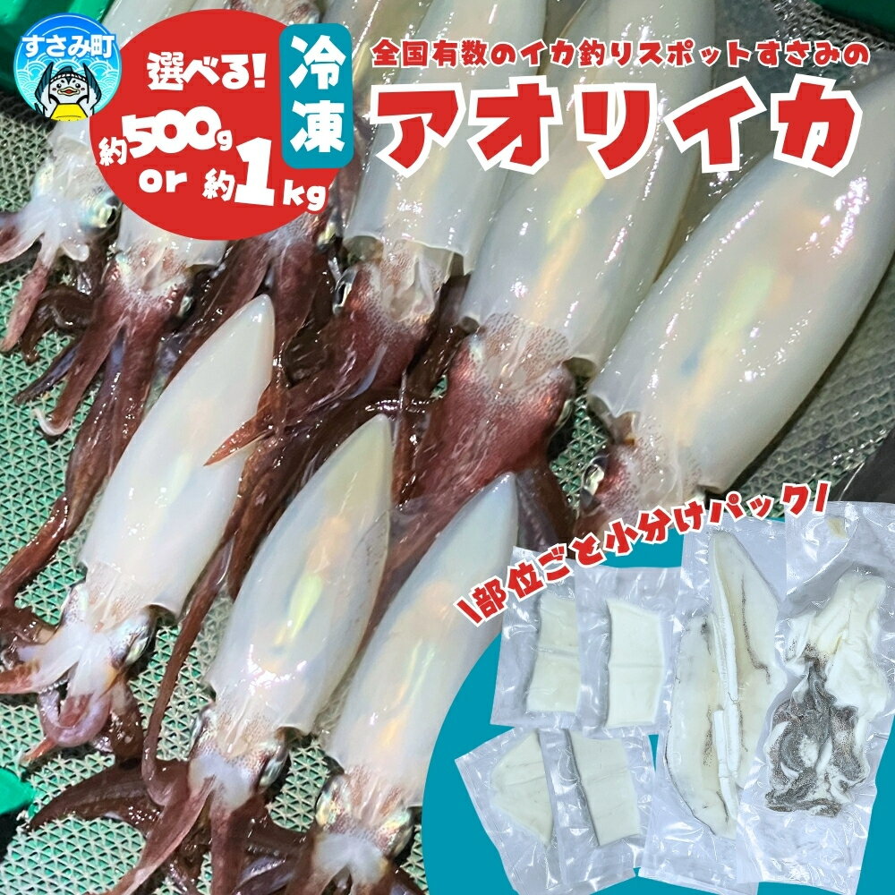 【ふるさと納税】 アオリイカ すさみ産 冷凍 500g 1kg 肉厚 いか イカ 小分け 下処理済 冷凍 刺身 海鮮 真空パック 使い切り 冷凍 海 和歌山