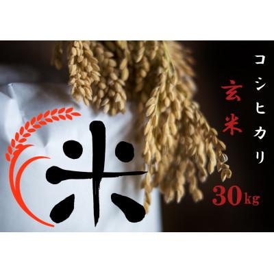 ふるさと納税 竜王町 令和7年産 コシヒカリ玄米 30kg