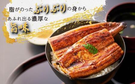 【定期便】国産 おおさきうなぎ鹿児島県産うなぎ長蒲焼2尾(全3回)合計6尾｜国産 うなぎ 鰻