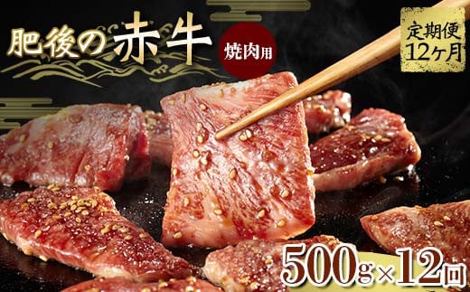 FKK19-841 【12ヵ月定期】肥後の赤牛 焼肉用 500g