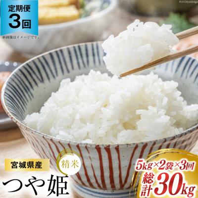 ふるさと納税 気仙沼市 3回 定期 米 宮城県産 つや姫 10kg(5kg×2) 計30kg 20564924
