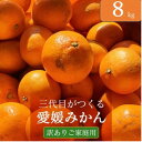 【ふるさと納税】＼数量限定8000円 家計応援品／_【楽天限定】 三代目がつくる愛媛みかん 8kg【訳あり(家庭用)】【C31-40】_ ふるさと納税 みかん 愛媛 訳あり 不揃い 規格外 わけあり 蜜柑 柑橘 温州みかん ふるさと 人気 ランキング 【1556518】