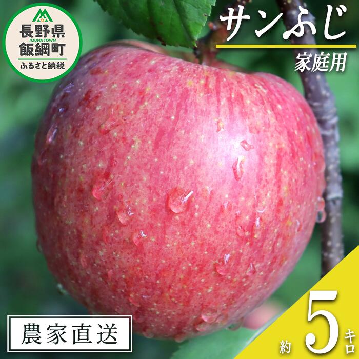 【ふるさと納税】 りんご サンふじ 家庭用 5kg 寺島農園 沖縄県への配送不可 令和7年度収穫分 長野県 飯綱町 【 信州 果物 フルーツ リンゴ 林檎 長野 予約 農家直送 13500円 】発送時期：2025年11月下旬〜2026年2月上旬 {**}