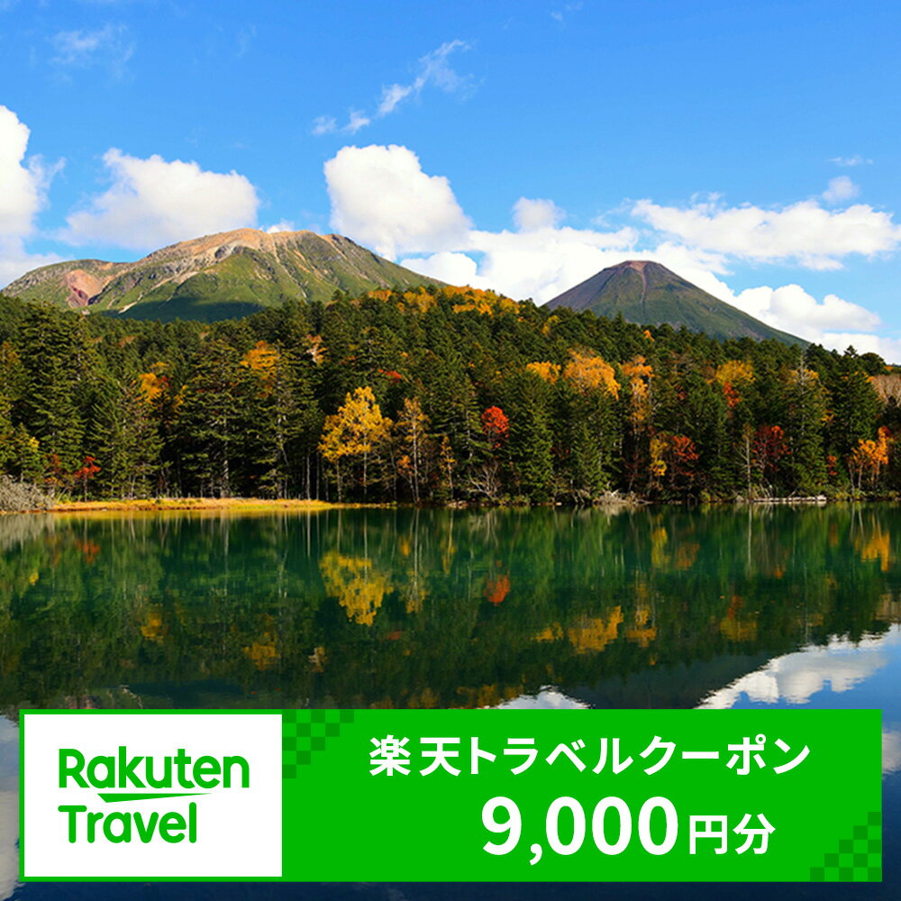 【ふるさと納税】北海道足寄町の対象施設で使える 楽天トラベルクーポン 寄付額30000円(クーポン9000円) [BEBF002] 北海道 宿泊 宿泊券 ホテル 旅館 旅行 旅行券 観光 トラベル チケット 旅 宿 券