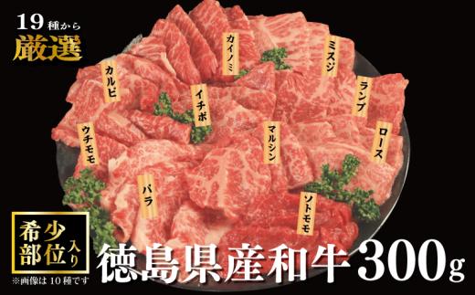 焼肉 セット 牛肉 おまかせ 3種 国産和牛 ロース サーロイン バラ 外モモ 内モモ ランプ カイノミ イチボ カルビ ミスジ トンビ ザブトン 上ミスジ ヒウチ マルシン ハバキ ウデサンカク フランク カメノコ 和牛 焼き肉 希少部位 赤身 食べ比べ にく ぎゅう うし BBQ やきにく お祝い イベント パーティー おかず おつまみ 贈答 プレゼント 徳島県 吉野川市