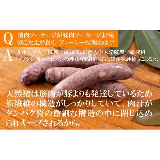 【ジビエ】平戸いのしし ソーセージセット 粗挽 燻製 各２セット/ 加工品 フランクフルト ウインナー 長崎県 天然 イノシシ肉