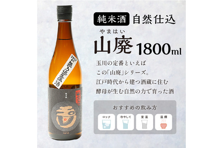 【京都・京丹後の山廃・無濾過生原酒】玉川 自然仕込 純米酒（山廃）1800ml＜木下酒造定番 玉川 山廃シリーズ／無濾過 生原酒／無ろ過＞