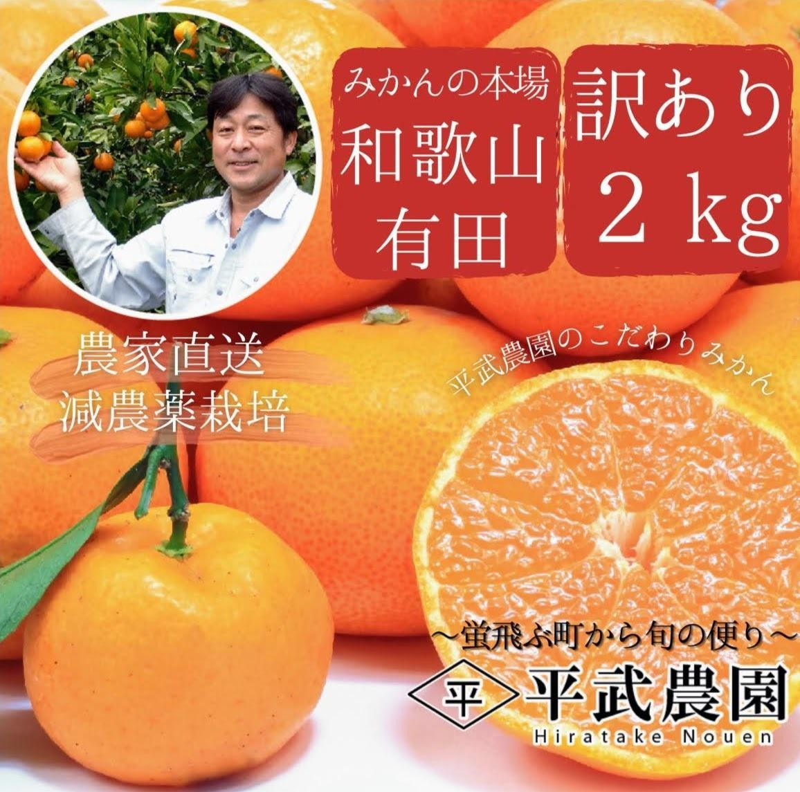 
            完熟有田みかん 訳あり 約2kg サイズ混合 平武農園 農家直送 蛍飛ぶ町から旬の便り
          