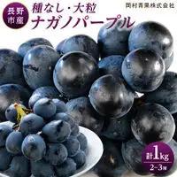 金オ岡村青果株式会社 長野市産 ナガノパープル1kg【2026年8月末以降出荷分】ナガノパープル | ぶどう ぶどう