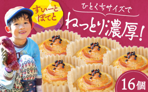 
ねっとり濃厚！ひとくちサイズの スイートポテト 16個セット さつまいも 芋 スイーツ お菓子 ギフト 広島 江田島市/峰商事合同会社[XAD015]
