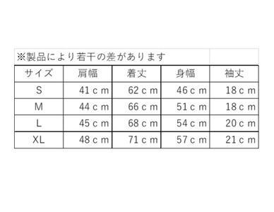 第38回 2023 三浦国際市民マラソン オリジナルTシャツ（L） M037-012-03 マラソン 三浦マラソン 雑貨 日用品