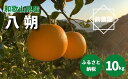 【ふるさと納税】【産地直送】和歌山県産 八朔 10kg (M～3Lサイズ)【はっさく ハッサク 八朔 和歌山産 柑橘 和歌山 有田】