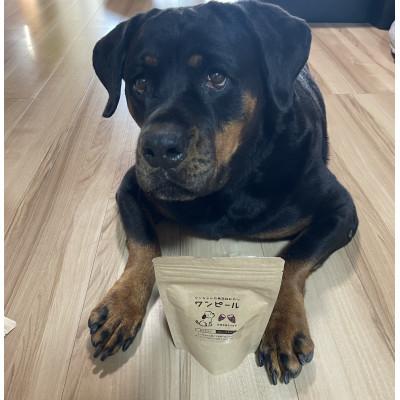 ふるさと納税 茨城県 茨城県産ほしいもの未利用部分を使用したワンちゃんのための無添加おやつ(90g×2袋) |  | 02