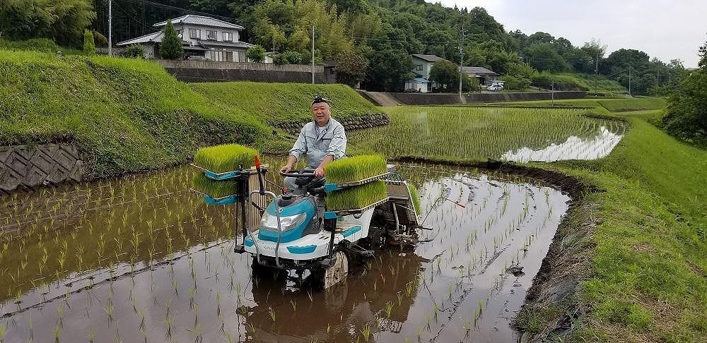大分県産ひのひかり「ゆふ清流米」【5分つき】10kg