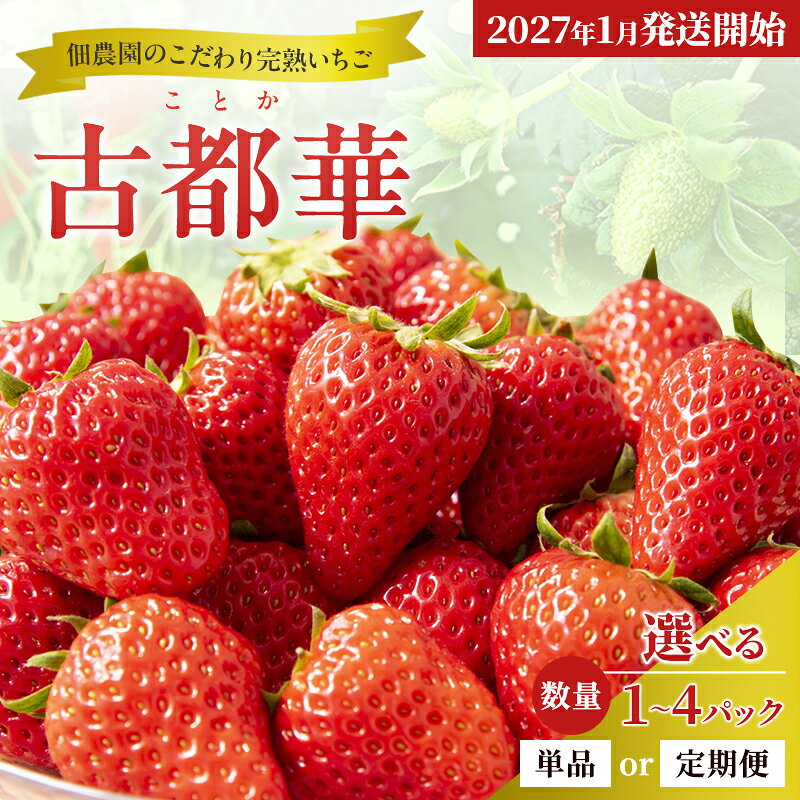 【ふるさと納税】いちご 古都華 完熟 苺 【選べるパック数・発送回数】 佃農園 ことか 先行予約 定期便 フルーツ 果物 旬 産地直送 お取り寄せ デザート 奈良県 大和郡山市 BN001　お届け：2027年1月上旬～2027年3月下旬