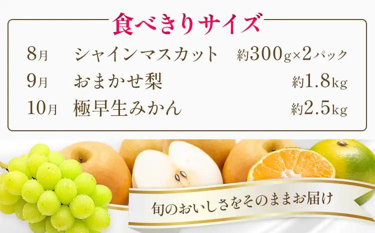 旬の プレミアム フルーツ 定期便 3ヶ月連続 秀品 ミニ 計4.9㎏ 日本フルーツ株式会社《8月上旬-10月末頃出荷》熊本県 荒尾市 シャインマスカット おまかせ 梨 極早生みかん 果物 フルーツ 