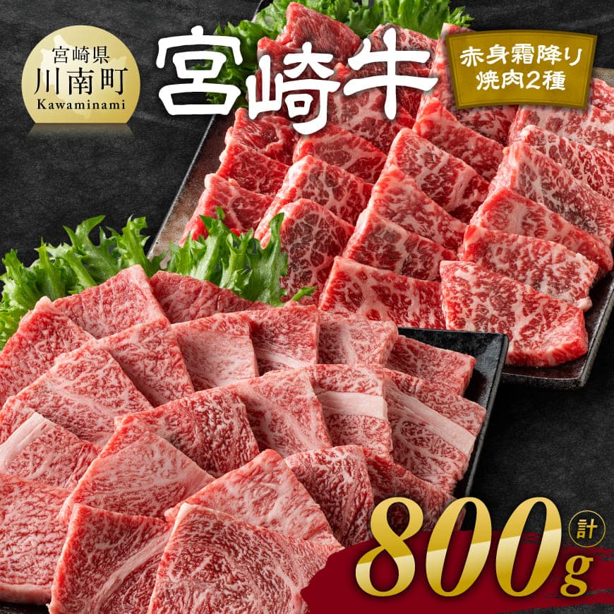 【ふるさと納税】※レビューキャンペーン※宮崎牛赤身霜降り焼肉2種 800g - 肉 牛肉 黒毛和牛 宮崎県産牛 九州産牛 国産牛 宮崎県産 九州産 国産 赤身 霜降り 焼肉 ウデ モモ 肩ロース 送料無料 E11124
