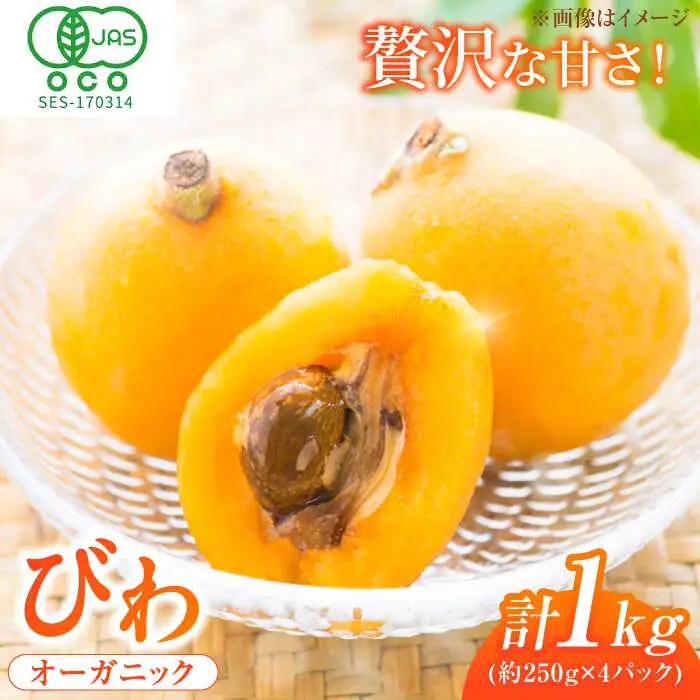 【★先行予約★ 2027年4月末発送開始】びわ 約250g(3-7個)×4パック / びわ [AFAB002]