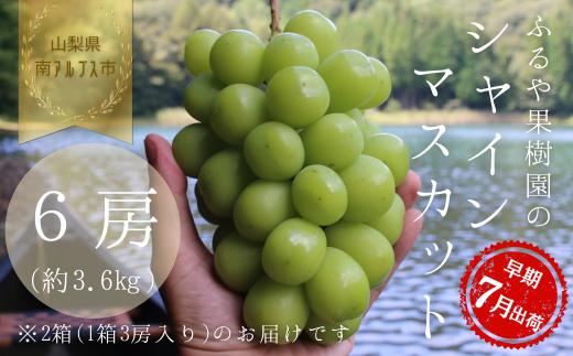 【令和8年発送・先行予約】ハウス栽培　南アルプス市産シャインマスカット(6房・約3.6㎏)真心で育てる大地の宝石！【早期出荷】 ALPDX002