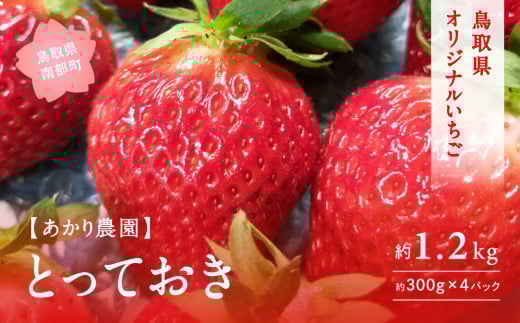 【AK01_2】【完熟出荷】とっておき 300g×4パック いちご ＜2月出荷＞