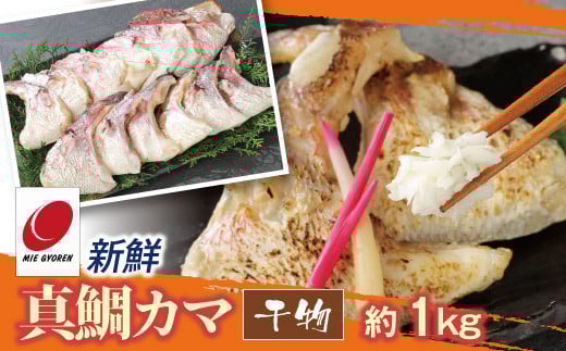 新鮮真鯛カマ干物（約1Kg）　M079-011-03