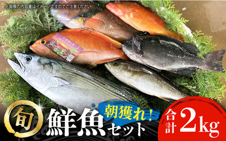 【五島列島・直送】朝獲れ！鮮魚セット2kg 鯛福丸水産/五島市 [PDP008]