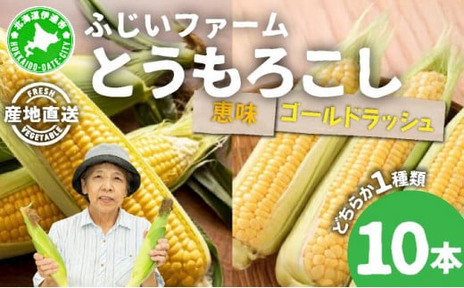 [5525-0484]北海道産 とうもろこし 恵味 ゴールドラッシュ 10本 Lサイズ トウモロコシ とうきび コーン スイートコーン先行受付 新鮮 朝採り 産地直送 国産 野菜 農作物 甘い めぐみ 人気 BBQ ふじいファーム  送料無料