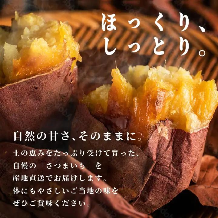 さつまいも 紅はるか 5kg ｜さつまいも【株式会社橋本】