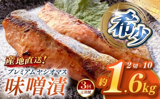 【定期便3回】「プレミアムヤシオマス」の味噌漬 2切入×10パック  [ 冷凍便 ] | 魚 ます 養殖 産地直送 栃木県 (毎月お届け）