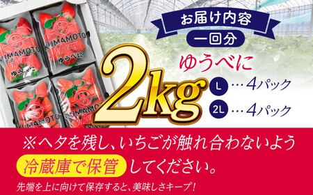 《3月より発送開始》 【3回定期便】 大粒いちご L～2L ゆうべに 2kg（8pc）【熊本ベリー】[ZER026]