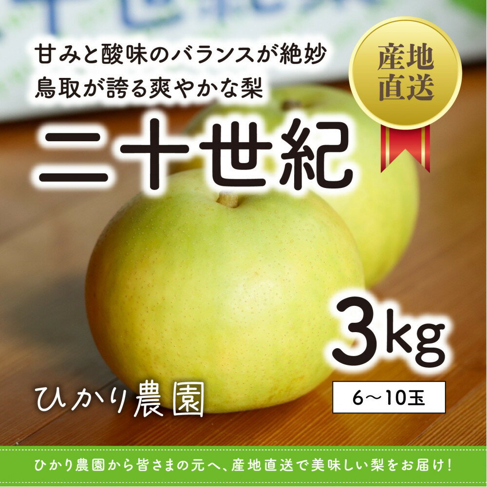 【ふるさと納税】こだわり二十世紀梨 3キロ（ひかり農園） | フルーツ 梨　なし　送料無料