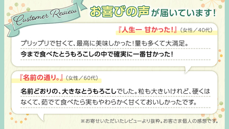＜令和6年産＞ 【 先行予約 ・ 7月中旬以降発送】 【数量限定】 八千代町産 農家直送 朝採りとうもろこし おおもの 6kgトウモロコシ スイートコーン 産地直送 [AX027ya]