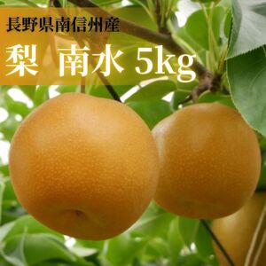 【数量限定】梨(南水)5kg＜9月下旬より順次発送＞