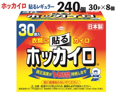 240個 ホッカイロ　貼るレギュラー　30P×8個 ※離島への配送不可  ※着日指定不可_DJ01