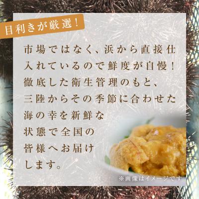 ふるさと納税 石巻市 〈先行受付〉生うに <訳あり> 宮城県産 塩水 生うに 160g (80g×2) 冷蔵 塩水うに |  | 01