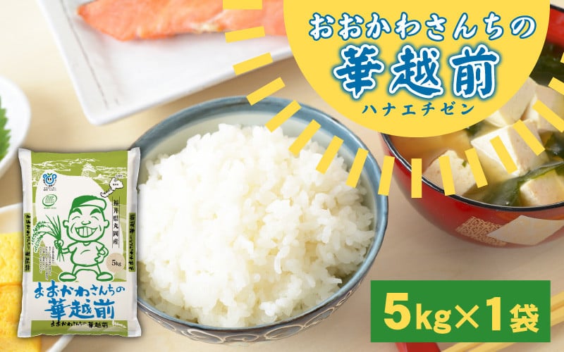 
            【令和7年産】 おおかわさんちの華越前 5kg 【お米 こめ ハナエチゼン 5キロ 白米 精米 ご飯 ごはん 美味しい ふるさと納税米】 [A-10811]
          