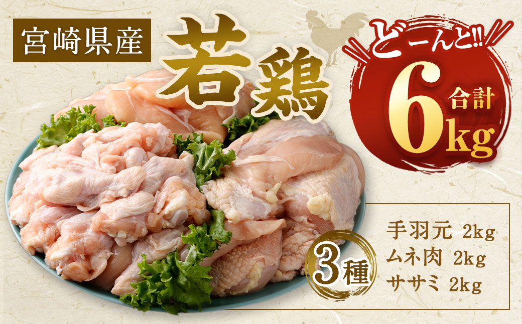 【2025年8月発送】＜宮崎県産若鶏3種 計6kgセット＞【c504_hn_x3-aug】