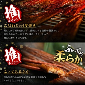 鹿児島県産うなぎ蒲焼セット＜特大＞(計1.6g・ 約160g×10尾) タレ・山椒付き 鰻 ウナギ 国産【西日本養鰻】D31