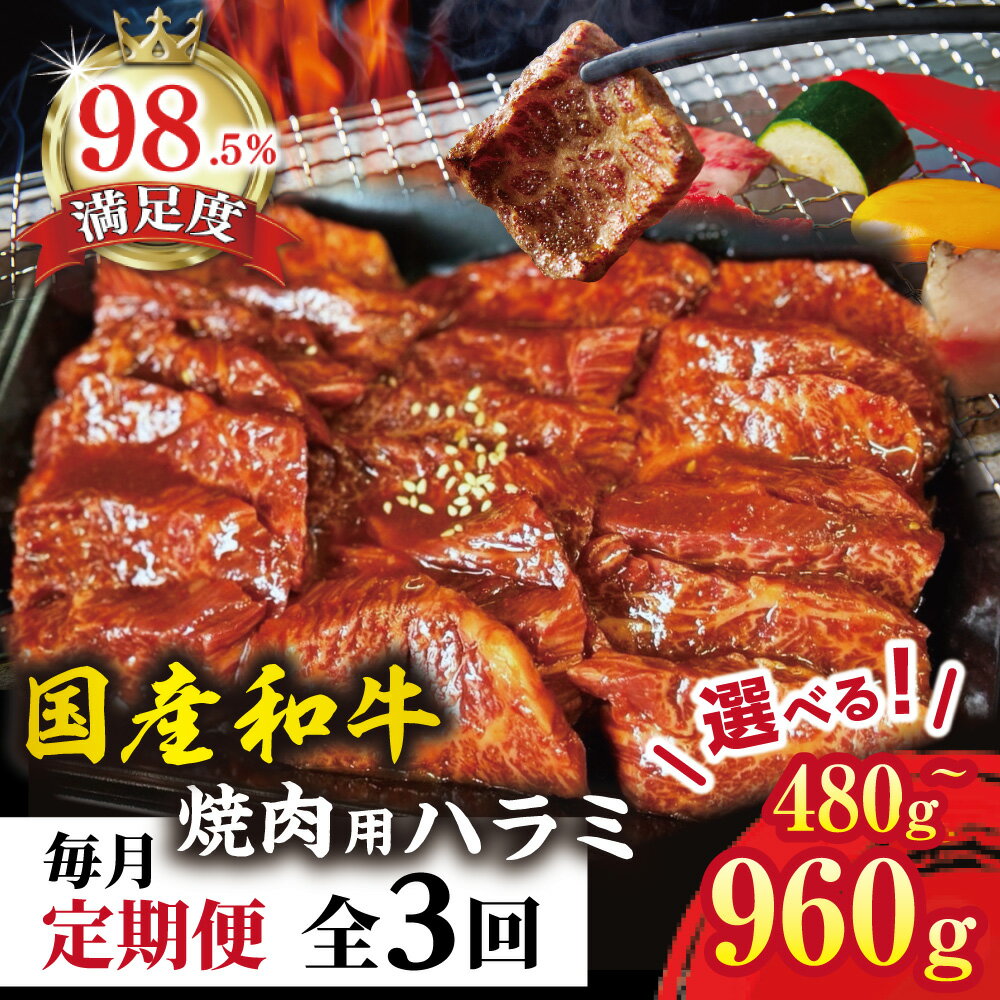【ふるさと納税】【定期便】和牛入国産牛 ハラミ焼肉 秘伝の自家製タレ漬け 全3回 ハラミ 選べる 内容量 480g / 960g(480g×2) 3回 焼肉 ステーキ 国産 牛肉 和牛 冷凍 御中元 お中元