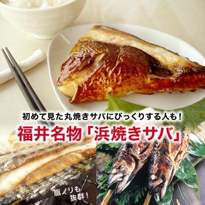 ふるさと納税 福井市 浜焼きサバ　丸ごと串刺し4本入 |  | 01