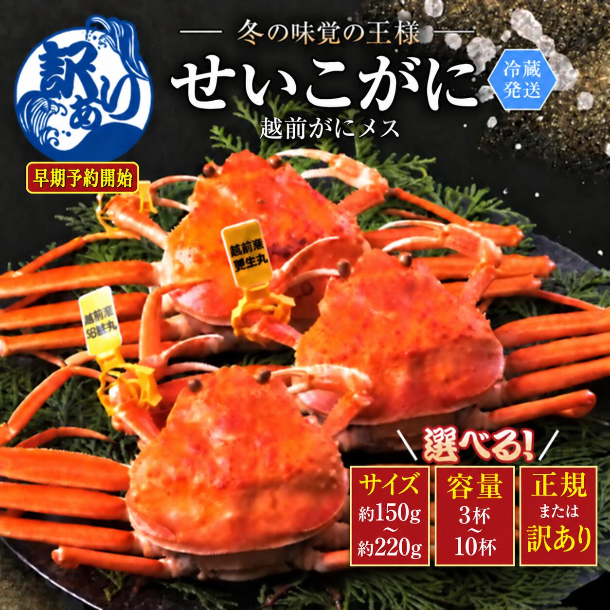 【ふるさと納税】新物★予約開始 数量限定★越前ガニ「せいこがに」 冷蔵 (メス)150g前後〜210g前後 3杯〜10杯 正規 訳あり選択 / 送料 無料 福井県 越前市 武生 かに カニ 蟹 越前かに 越前ガニ 越前カニ ズワイガニ 雌 新物 せこガニ 年内配送 着日指定（18209）