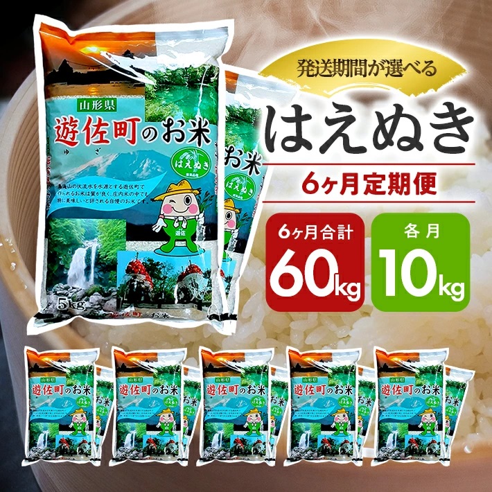 【定期便】遊佐産はえぬき10kg×6ヶ月連続（11月～4月）