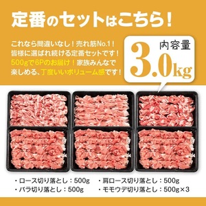 ＜2025年11月中に発送予定＞鹿児島県曽於市産 曽於ポーク切り落とし 合計3.0kg(ロース／バラ／肩ロース／モモウデ切り落とし) 国産 豚肉 切り落とし【Rana】A413-11-v02