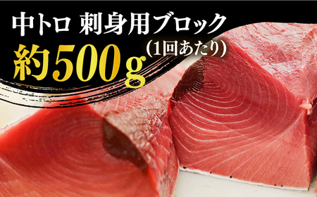 【全6回定期便】【ながさき水産業大賞受賞！！】五島列島産 養殖 生本かみまぐろ 中トロ ブロック 500g【カミティバリュー】[RBP065]