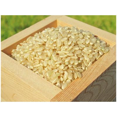 ふるさと納税 長浜市 滋賀県産 低農薬栽培 ミルキークイーン 玄米5kg 令和7年産 |  | 01