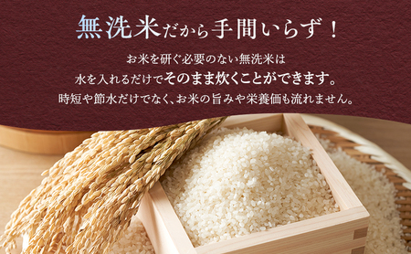 ななつぼし 富良野 無洗米 ななつぼし【10kg(5kg×2袋)】【3ヵ月定期便】令和7年産