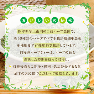 42-17　熊本ハーブ園レモングラス 熊本県産リフレッシュハーブティー(業務用)