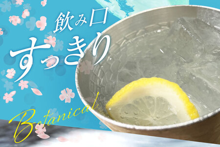 【定期便12回】甲州韮崎 ジン 700ml×2本 ハイボール スピリッツ 蒸留酒 国産 カクテル JIN ソーダ割り アルコール 37％ ボタニカル GIN ライム｜