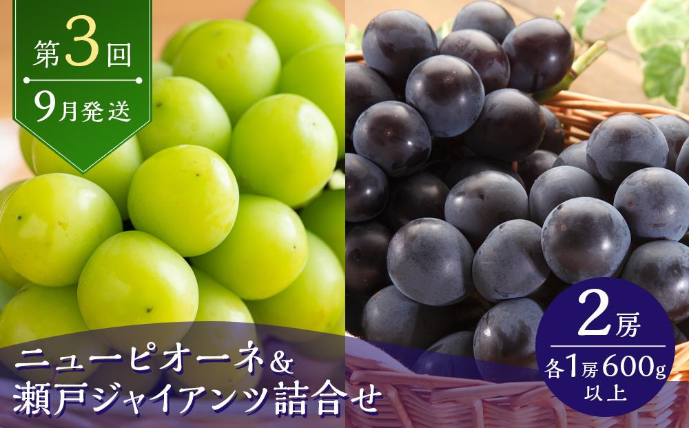 フルーツ 2024年 先行予約 フルーツ 王国 岡山の果物 定期便 6回コース 桃 ぶどう 梨 岡山県産 国産 果物 ギフト [No.5220-1145]